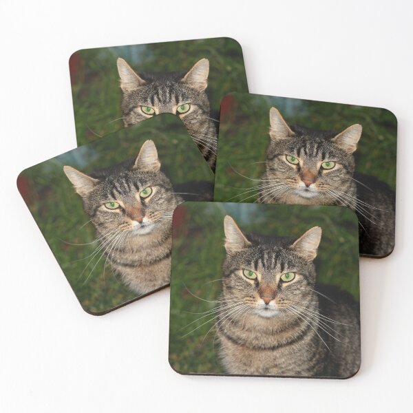 Item preview, Portrait of Kater Kasemier designed and sold by NW-Photo-Art.