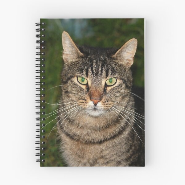 Item preview, Portrait of Kater Kasemier designed and sold by NW-Photo-Art.