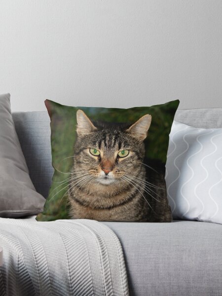 Artikel-Vorschau von Porträt von Kater Kasemier, designt und verkauft von NW-Photo-Art.