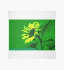 Burning Sunflower, Green. Scarf