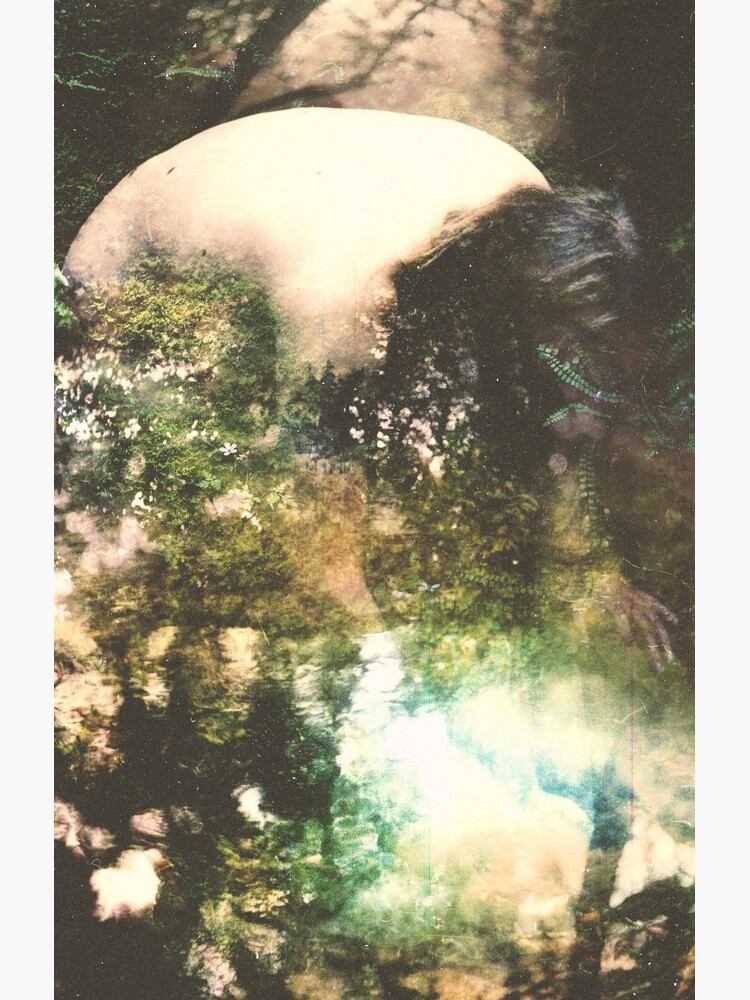 La Métamorphose by sylfvr