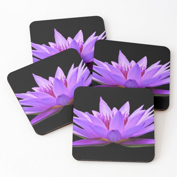 Item preview, water lily designed and sold by coolshop123.