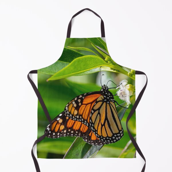 Item preview, Monarch butterfly designed and sold by iCimages.net.