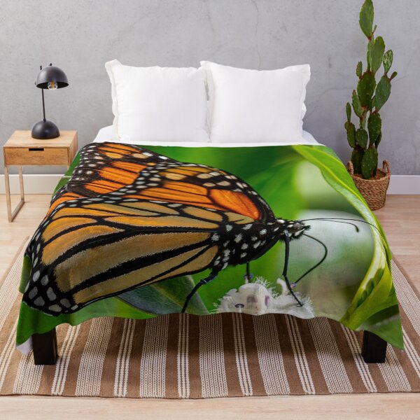 Item preview, Monarch butterfly designed and sold by iCimages.net.