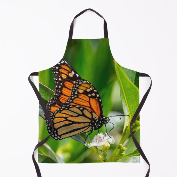 Item preview, Monarch butterfly designed and sold by iCimages.net.