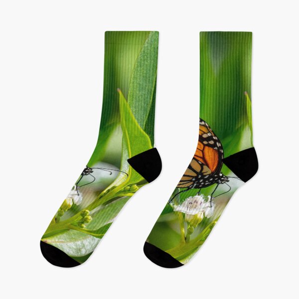 Item preview, Monarch butterfly designed and sold by iCimages.net.