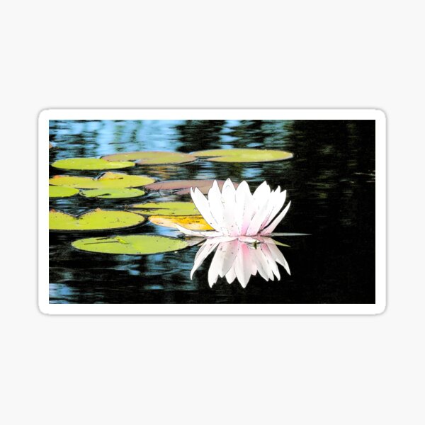 Item preview, Floral Reflections designed and sold by CarolineLembke.