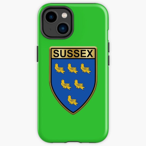 IPhone 14 pro max case, in Bognor Regis, West Sussex