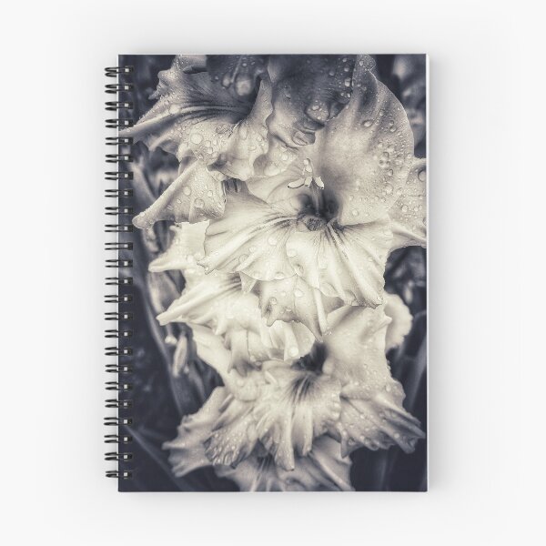Item preview, Stacked Gladiolus designed and sold by TimzPhotos.