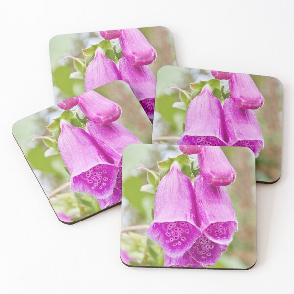 Item preview, FOXGLOVES designed and sold by Anthony Hedger Photography.