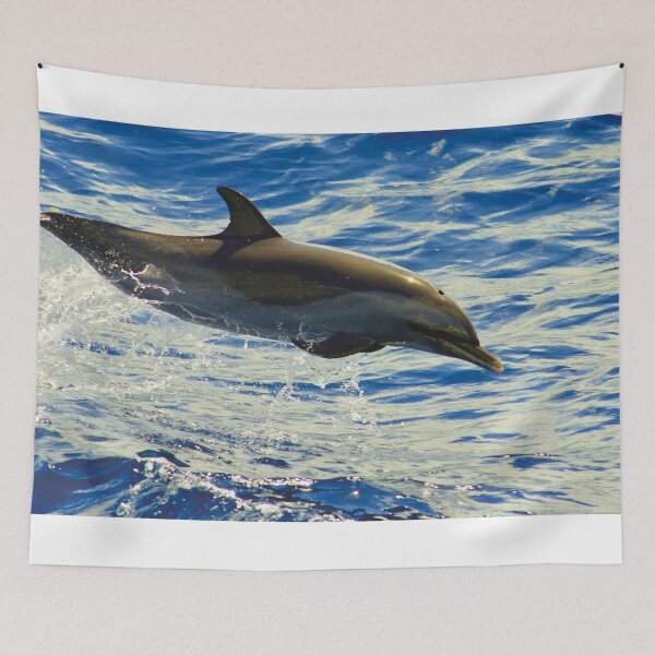 Item preview, Leaping Dolphin designed and sold by rexhank.