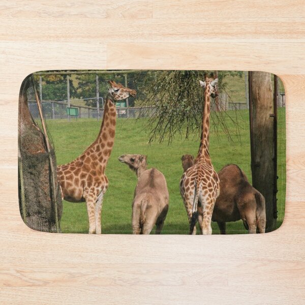 Item preview, Giraffe And Camel Safari designed and sold by Fearless-Fox.