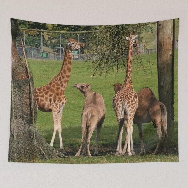 Item preview, Giraffe And Camel Safari designed and sold by Fearless-Fox.