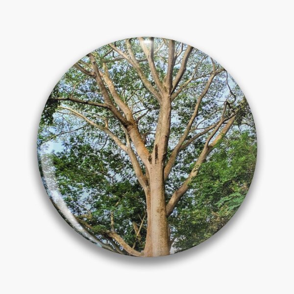 Item preview, The Albizia Tree designed and sold by FaustineD.