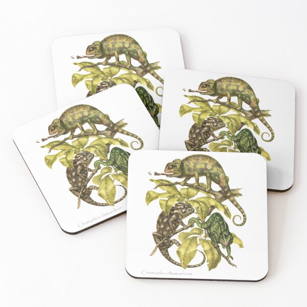 Item preview, Chameleons! designed and sold by Ecologos.
