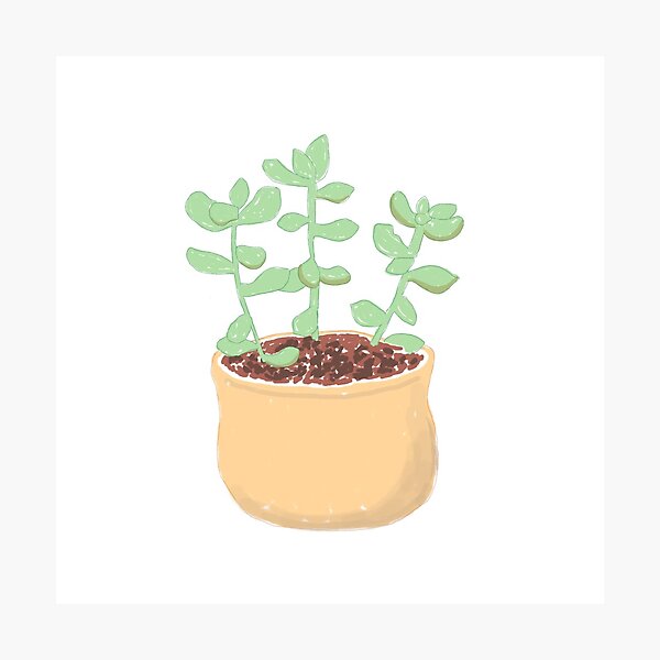 Item preview, Succulent bby designed and sold by platypusified.