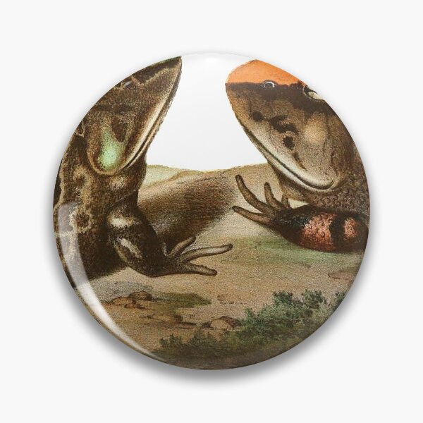Item preview, Surinam horned frog (Ceratophrys cornuta) designed and sold by Ecologos.