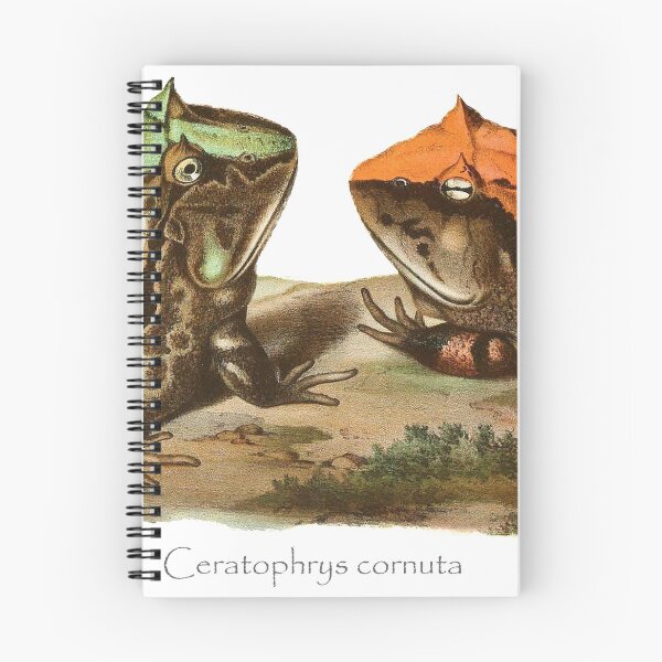 Item preview, Surinam horned frog (Ceratophrys cornuta) designed and sold by Ecologos.
