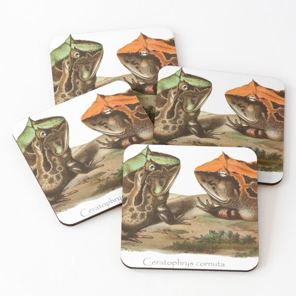Item preview, Surinam horned frog (Ceratophrys cornuta) designed and sold by Ecologos.