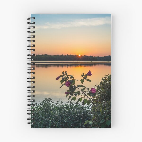 Item preview, Lake Springfield Hibiscus Sunrise designed and sold by mljdwhite.
