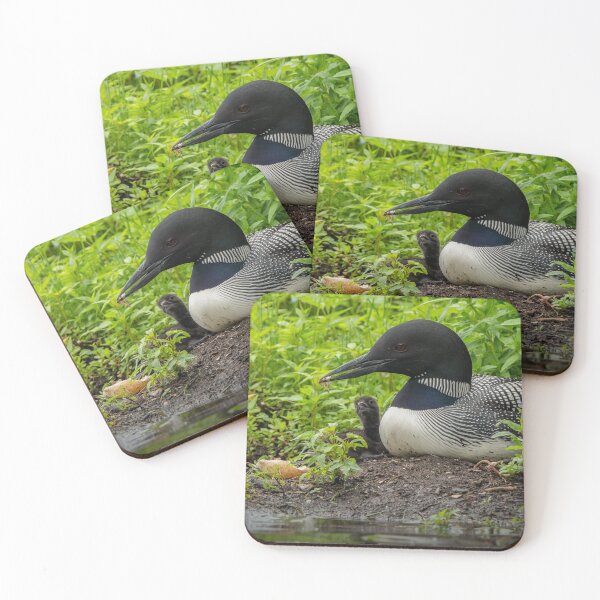 Item preview, Nesting Loons 6 designed and sold by Loon-Images.