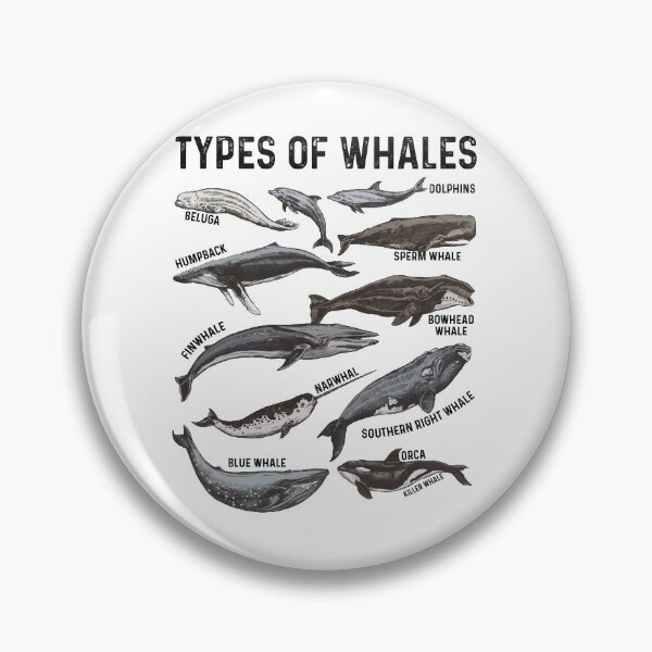 Artikelvorschau, Arten von Walen - Ocean Funny Best Gift Ideas Whale Lover entworfen und verkauft von NDTStore.
