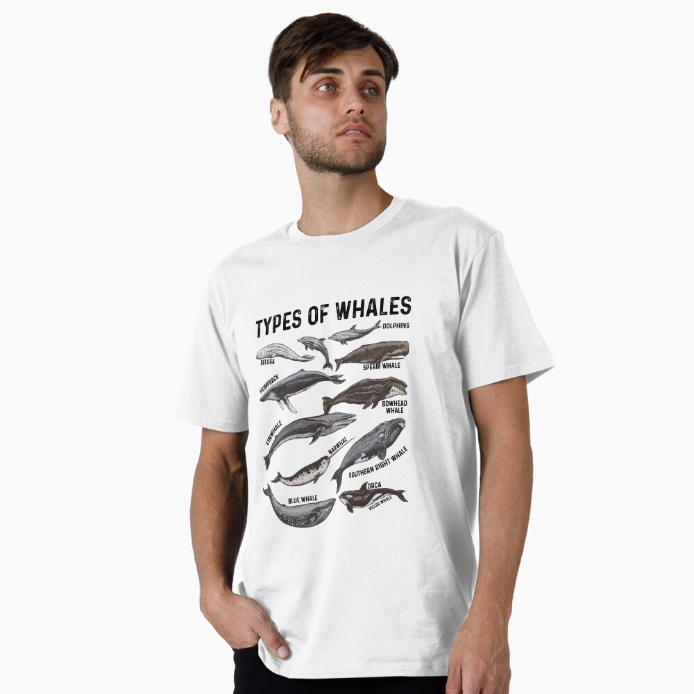 Types Of Whales Ocean Funny Best Gift Ideas Whale Lover