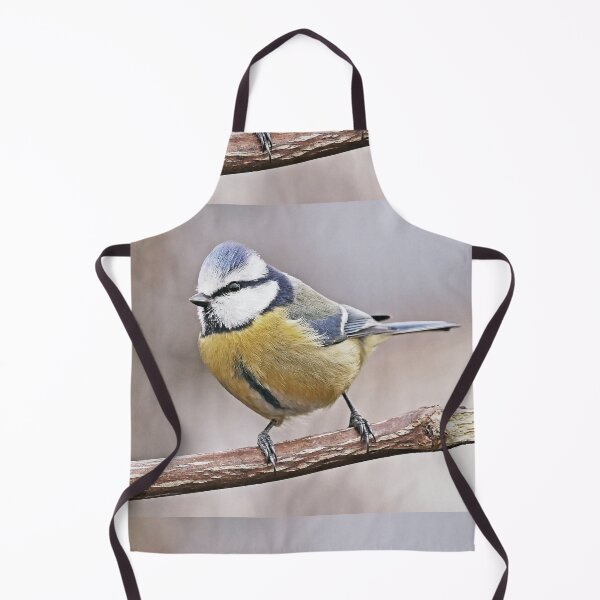 Item preview, r1462/ New Finition - 2021 - mésange b 13 (c)(t) Olavia-Olao Okaio Créations designed and sold by o.okaïo.