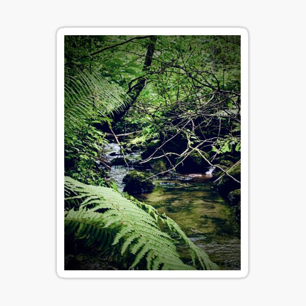 Item preview, Beautiful Forest Stream designed and sold by bittes.