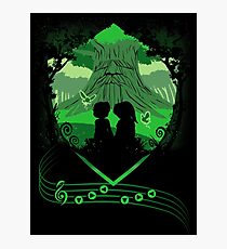 Saria's Song Photographic Print