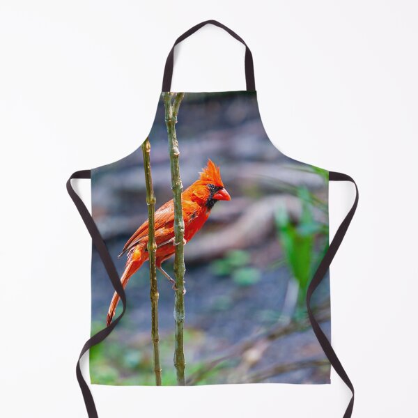 Item preview, Northern Cardinal designed and sold by Dalyndigital Photography.