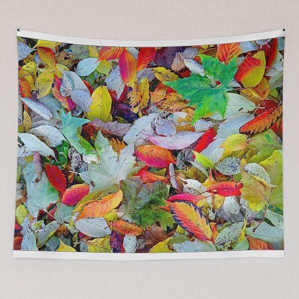 Item preview, All things bright and beautiful designed and sold by Anthony Hedger Photography.