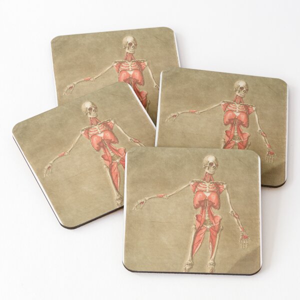 Item preview, Vintage Anatomy | Anatomical | Medical designed and sold by LemonbatStudio.