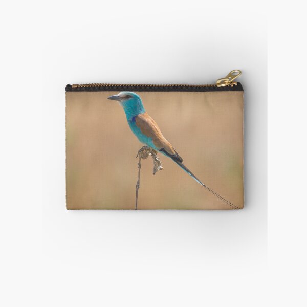 Item preview, Abyssinian Roller (Coracias abyssinica) from Chad, Africa designed and sold by Jason Weigner.