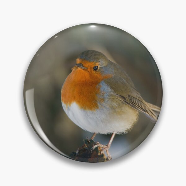 Item preview, Robin designed and sold by rawshutterbug.