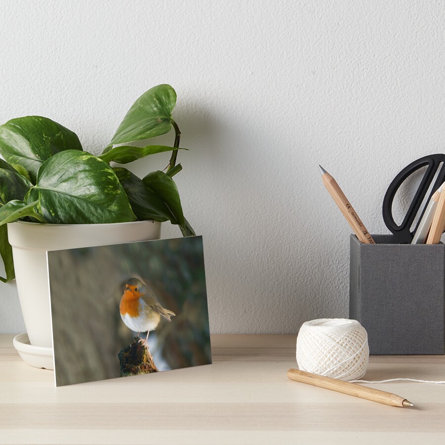 Item preview, Art Board Print designed and sold by rawshutterbug.