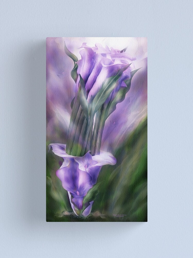 Impression sur toile « Lys Calla violet dans Calla Vase », par  carolcavalaris | Redbubble