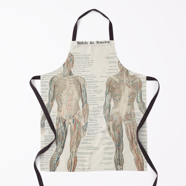 Item preview, Vintage Anatomy | Musculature system designed and sold by LemonbatStudio.
