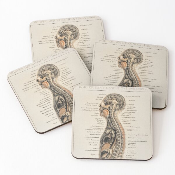 Item preview, Vintage Anatomy | Internal system designed and sold by LemonbatStudio.