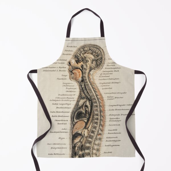 Item preview, Vintage Anatomy | Internal system designed and sold by LemonbatStudio.