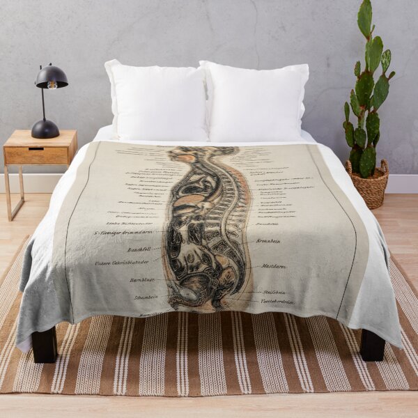 Item preview, Vintage Anatomy | Internal system designed and sold by LemonbatStudio.