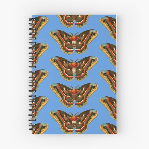 Item preview, Hyalophora cecropia moth designed and sold by Ecologos.