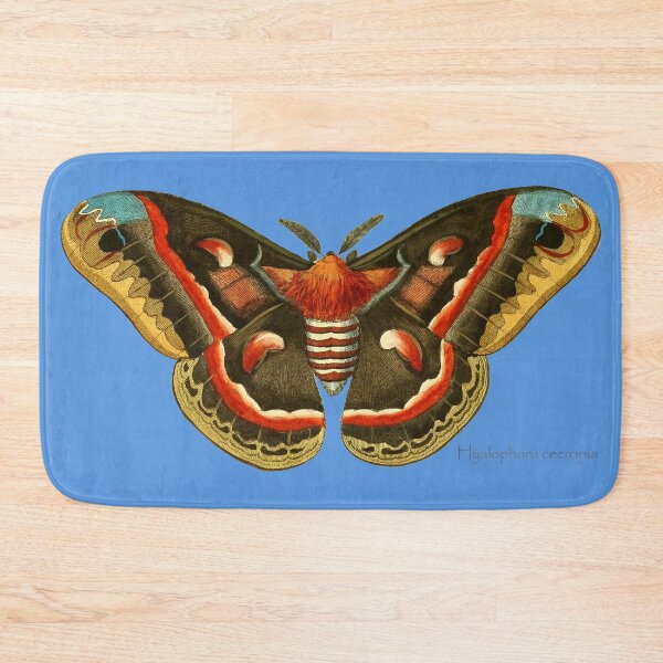 Item preview, Hyalophora cecropia moth designed and sold by Ecologos.