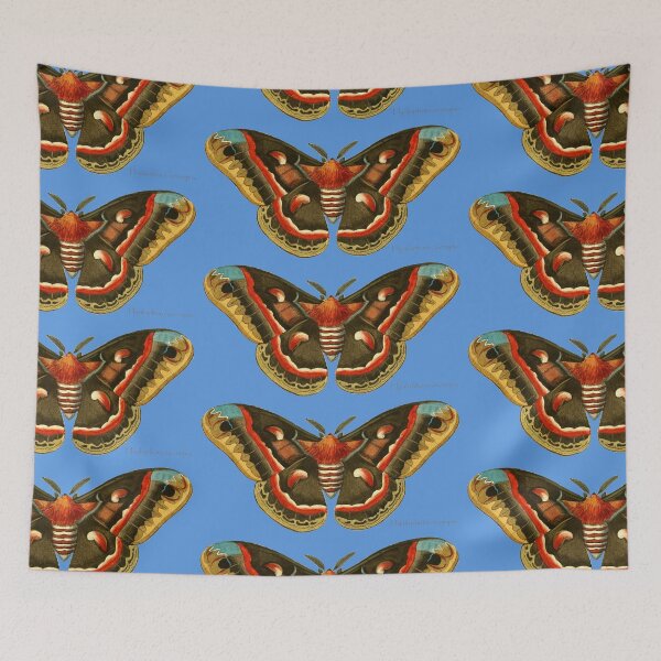 Item preview, Hyalophora cecropia moth designed and sold by Ecologos.