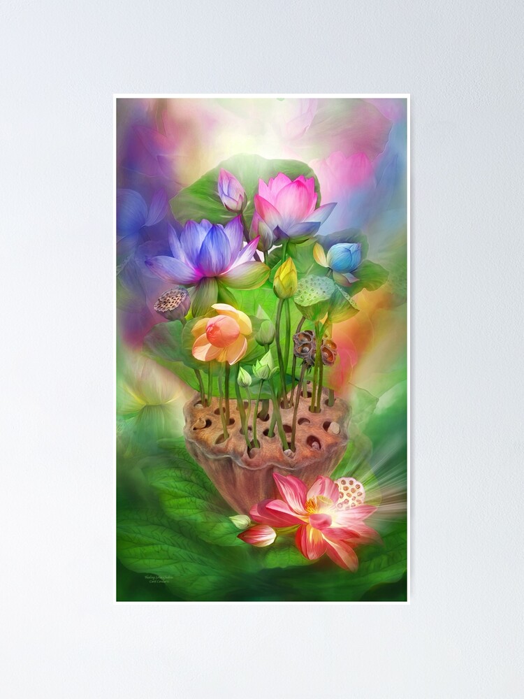 healing lotus
