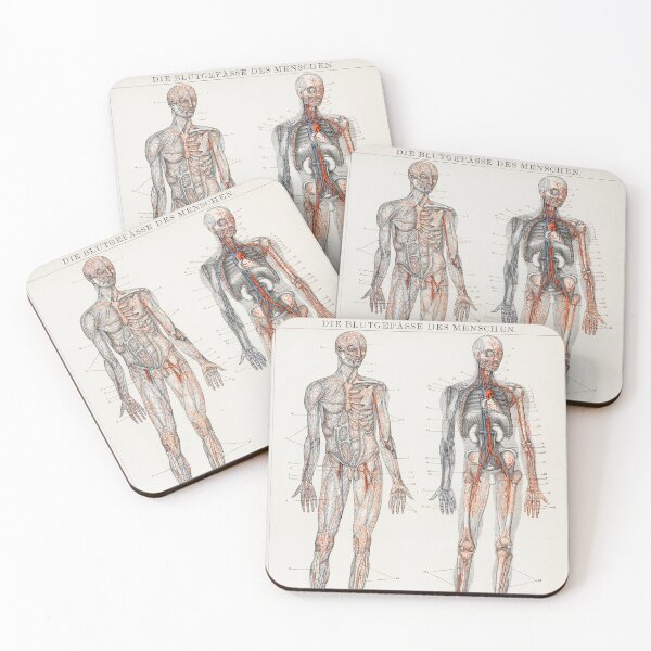 Item preview, Vintage Anatomy | Cardiovascular system designed and sold by LemonbatStudio.