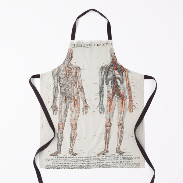 Item preview, Vintage Anatomy | Cardiovascular system designed and sold by LemonbatStudio.