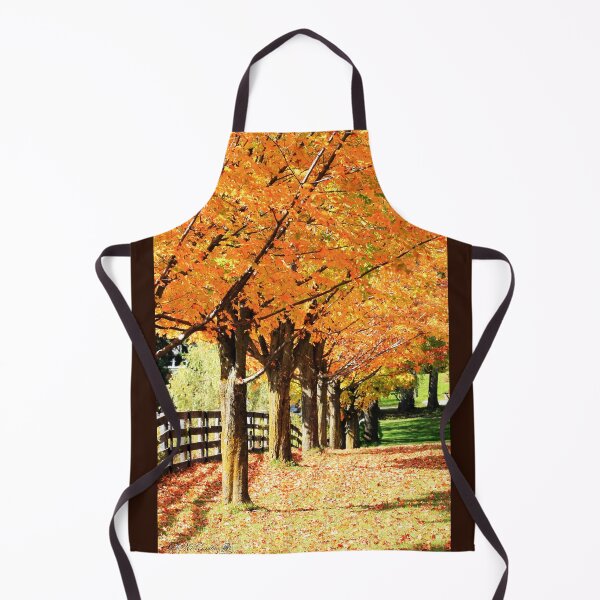 Aperçu de l'œuvre Fall Foliage créée et vendue par JMcCombie.