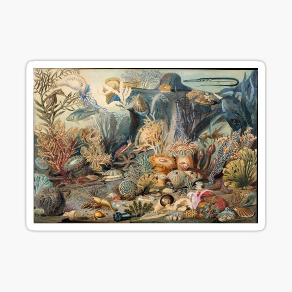 Ocean life painting Sticker
