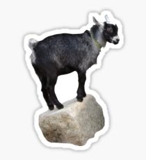Kid Rock Sticker
